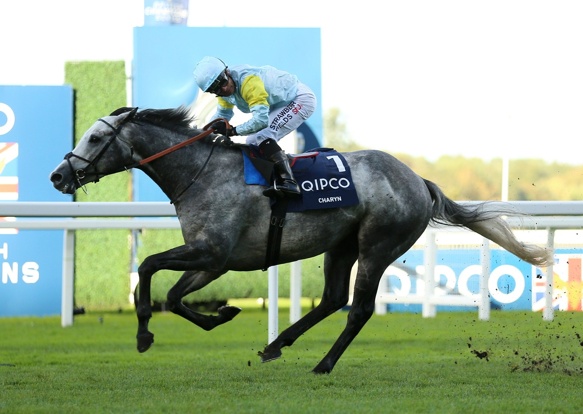 🏇 교토 경마장 이미지 13